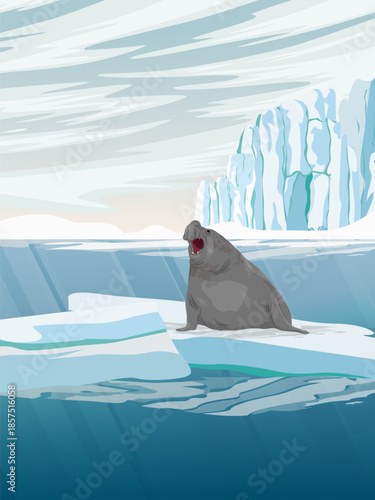An elephant seal sits on an ice floe drifting in the ocean. Realistic vector vertical landscape