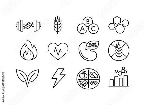 Bean Nutrition Icons. Bean Nutrition. Line icon set of Bean Nutrition: protein symbol, fiber symbol, vitamins icon, minerals icon, calories icon, heart health