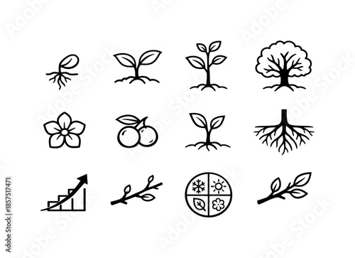Nature Icon Set. Nature growth icons. Line icon set of Nature growth icons: seed sprout, seedling, sapling, young tree, mature tree, blossom bloom, fruit