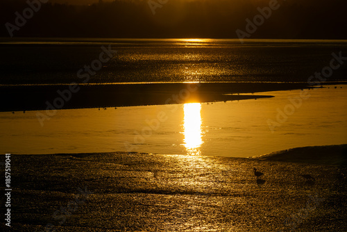 Photos Sunrise over the River Mersey at low tide with golden light reflecting on water
