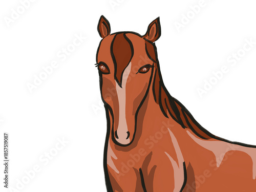 白バックに茶色の馬の顔と体が少し入った背景素材イラスト