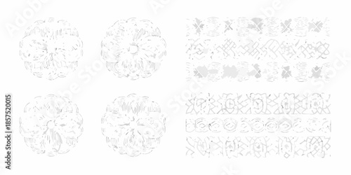 Detailed anatomical sketches of a human brain from multiple perspectives