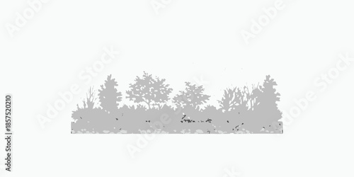Silhouetted trees and shrubs against a light almost white background