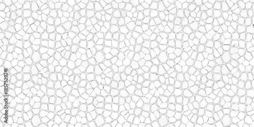 Intricate pattern of white stones creating a textured and organic surface