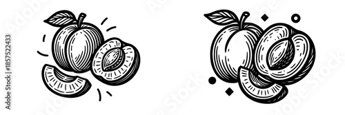 Vector illustration of sliced fruit showcasing fresh fruit slices
