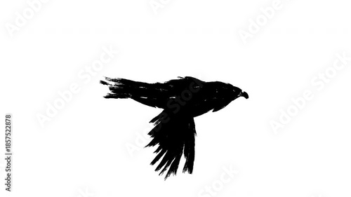 Animation flying silhouette bird in sketch grunge style. Loopable 2d motion black raven or eagle. Abstract art character isolated on white background.