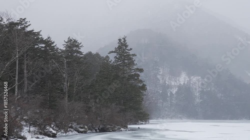 Wallpaper Mural 横殴りの雪が降る湖 Torontodigital.ca