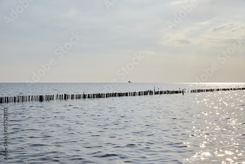 Tropical sea against sky during sunset