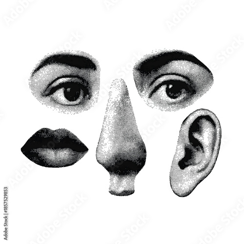 Print  Black and White Abstract Facial Parts Vector Set – 6 Unique Collage Elements, Flat Monochrome Vector Illustrations, Isolated on White Background, Precise Vector Paths, Retro Halftone Collage 
