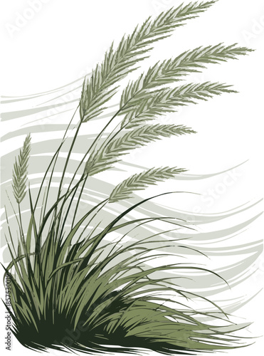 Create a Close up of ornamental grass swaying in the wind vector art with white background..

