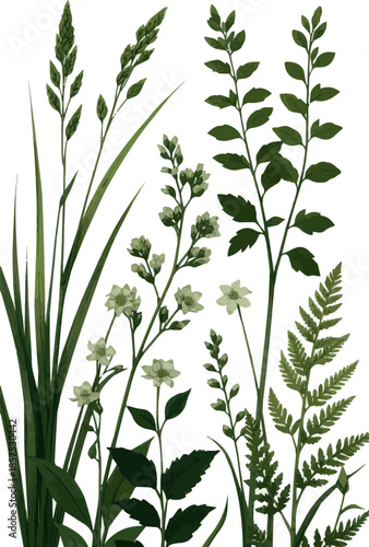 Create a Composition of different green plants and some blooming flowers vector art with white background.3