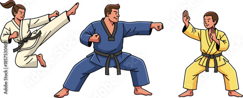 Martial artists in action poses, performing kicks, punches, and stances, wearing uniforms and belts, vector illustration for sport, discipline, and training themes