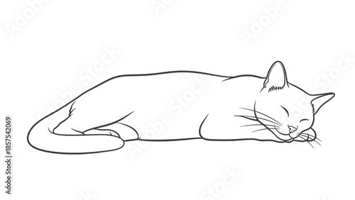 Minimalist line drawing of a sleeping cat in a relaxed pose