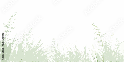 Delicate green grasses and plants frame a bright open and minimalistic space