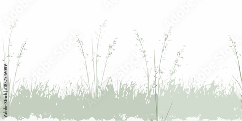 A minimalist landscape featuring delicate blades of grass and slender plant stems