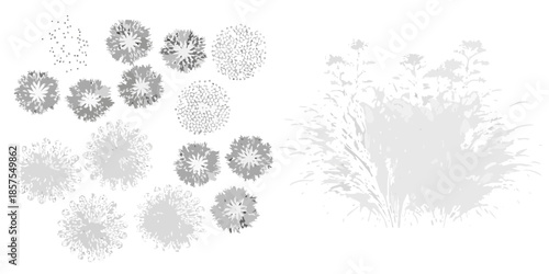 Abstract floral arrangements and wispy grasses in grayscale tones
