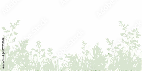 Delicate green foliage and grasses form a subtle botanical border