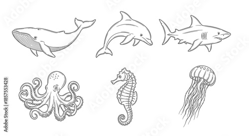 Set of hand-drawn marine animals in sketch style on white background