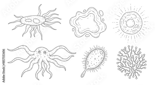 Set of hand-drawn diverse microbes and microorganisms in outline style