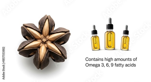 Sacha Inchi Seeds and Omega Rich Oil.