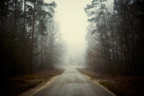 asfaltowa droga,mgła 
