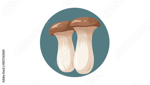 Detailed vector illustration of two fresh king oyster mushrooms, also known as eryngii, inside a dark teal circular frame.