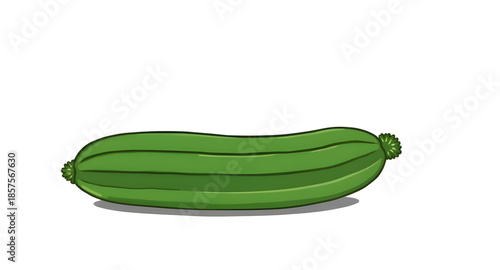 cucumber, vegetableart, veggie, green, fresh, illustration, drawing, sketch, graphic, organicfood, naturalfood, plantbased, botanicalart, farmfresh, gardenfood, rawvegetable, sliced, whole, nutrition,