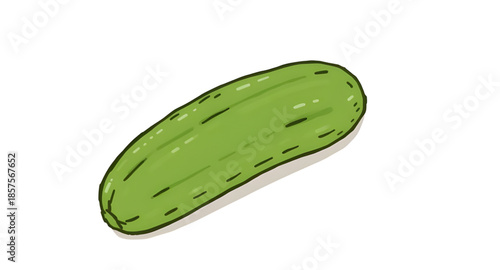 cucumber, veggie, vegetable, green, freshfood, illustration, art, drawing, graphic, organic, natural, plant, botanical, farm, garden, harvest, produce, raw, slice, whole, salad, diet, nutrition, vegan
