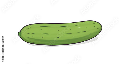 cucumber, greenfood, veggie, vegetable, fresh, organic, illustration, drawing, artwork, natural, farm, harvest, garden, rawfood, sliced, wholefood, nutrition, healthy, vegan, vegetarian, diet, detox, 