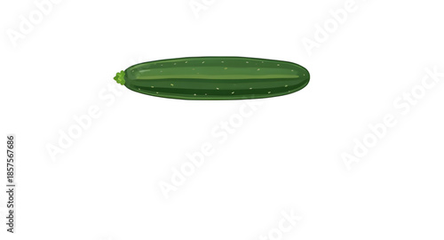 cucumber, greenfood, veggie, vegetable, fresh, organic, illustration, drawing, artwork, natural, farm, harvest, garden, rawfood, sliced, wholefood, nutrition, healthy, vegan, vegetarian, diet, detox, 