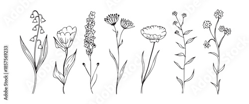 flower minimal blackandwhite botanical icons for design projects