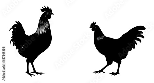 rooster silhouette design, rooster vector clipart illustration, rooster crowing vector clipart, rooster flat illustration vector, rooster head vector clipart, rooster profile vector illustration, roos