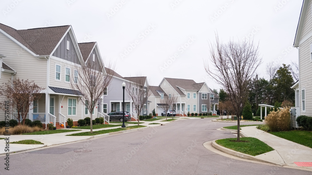 Αυτοκόλλητο Modern Southern American Townhomes