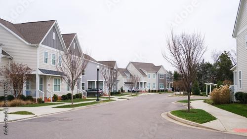 Εκτύπωση καμβά Modern Southern American Townhomes