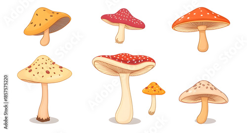 mushroom, fungi, toadstool, wild, edible, forest, nature, organic, fresh, plant, woodland, magic, poisonous, food, cute, cartoon, illustration, vector, colorful, healthy, natural, garden, harvest, coo