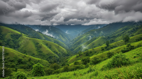 Lush Green Valley Between Misty Mountains Under a Dramatic Overcast Sky in Cherrapunjee, Meghalaya