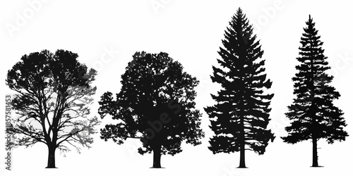 Silhouettes of various trees including pine oak and deciduous varieties