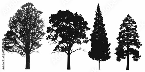 Silhouettes of diverse trees against a bright white background
