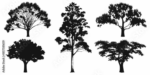 Silhouettes of various tree types against a stark white background