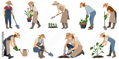 Gardeners tending to plants a collection of illustrations depicting various gardening activities