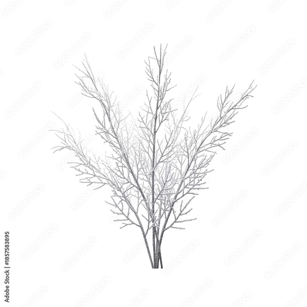 Obraz premium White shimmering decorative twigs on Transparent Background