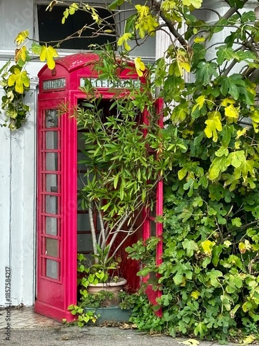 Grünpflanze im Übertopf in einer ausrangierten englischen roten Telefonzelle