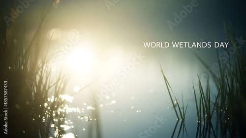 Sunlit Reflection Action on Wetlands Plants World Wetlands Day Content Nature Outdoor Close View galih_40rn8x_ai image.png