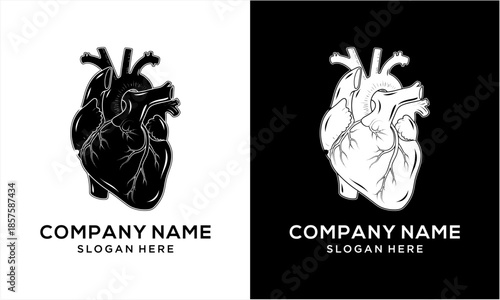 Anatomical human heart illustration in black and white for medical and health designs.