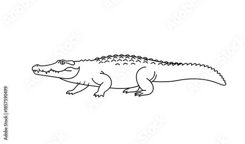 Flat crocodile vector illustration isolated on white background for wildlife designs