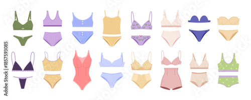 women's lingerie big set. bikini underpants, brassiere, elegant and sexy feminine nightwear. vector cartoon graphics.
