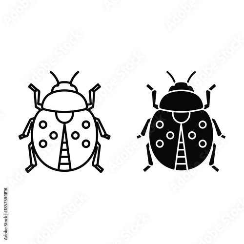 Ladybug illustration in black and white