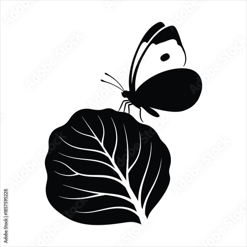 Cabbage white butterfly silhouette hovering above cabbage leaf in flat black minimal vector icon for agricultural pest concept