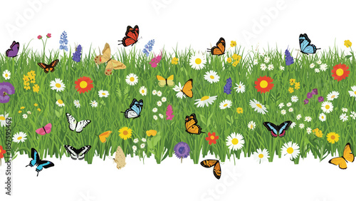 Colorful butterflies flying over a vibrant summer meadow filled with green grass, daisies, and other wildflowers on white background.