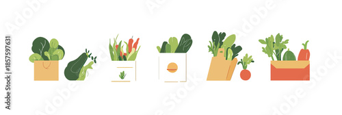 Fresh organic vegetables grocery bags and boxes assortment with various greens and peppers isolated on white background flat vector illustration